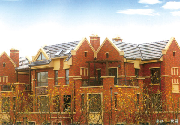 富力-桃園 富力-桃園