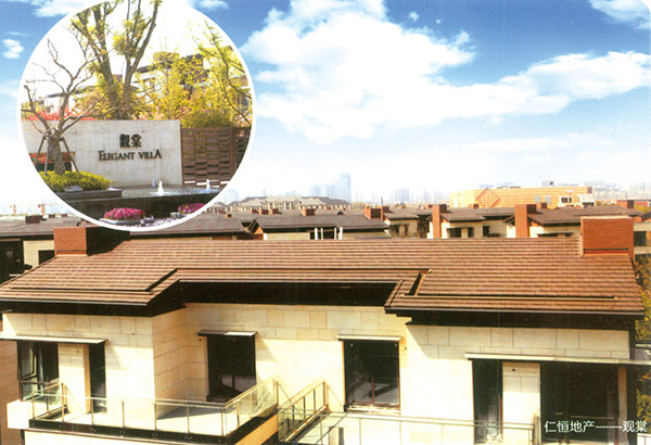 仁恒地產(chǎn)案例 仁恒地產(chǎn)案例