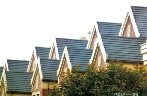 祥生地產-君城案例